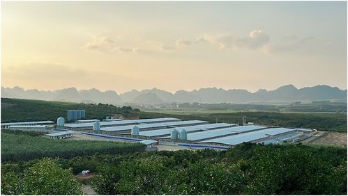 神農集團家庭農場模式 夯實可持續發展底色，激活旅游開發新動能